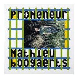Matthieu Boggaerts - Promeneur