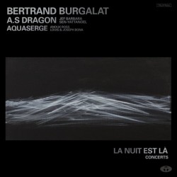 Bertrand Burgalat - La Nuit