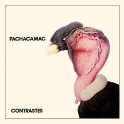 Pachacamac - Contrastes