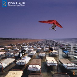 Pink Floyd - A Momentary...