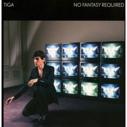 Tiga - No Fantasy Required