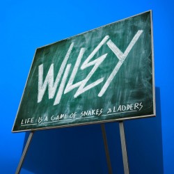 Wiley - Snakes & Ladders