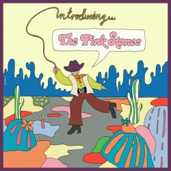 The Pink Stones -...