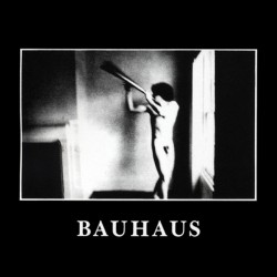 Bauhaus - In the Flat Field