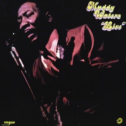 Muddy Waters - Live